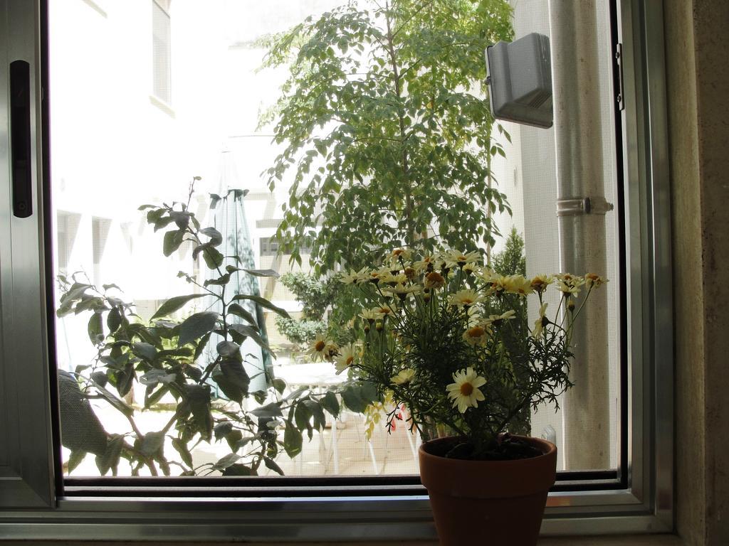 B&B Alma Grande Бриндизи Экстерьер фото
